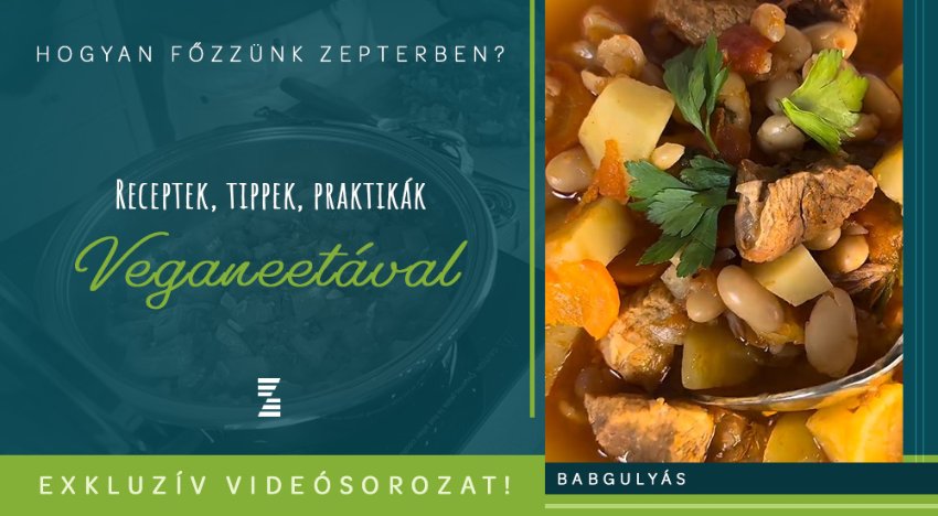 Hogyan főzzünk Zepterben? Anita házi babgulyása