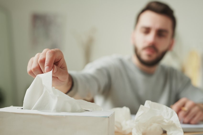 Megfázás vagy szénanátha: akkor most pollenallergiás vagyok?