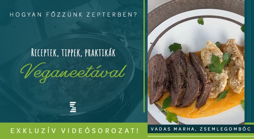 Hogyan főzzünk Zepterben? Vadas marha zsemlegombóccal